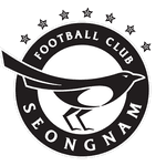 Seongnam Takım Logo