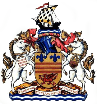 Barry Town United Takım Logo