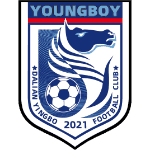 Dalian Yingbo Takım Logo