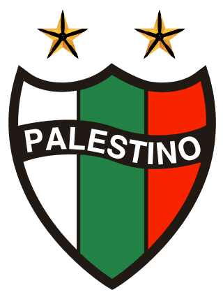 Palestino Takım Logo