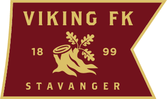 Viking Takım Logo