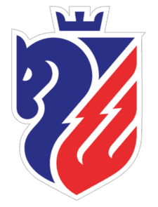 Botoșani Takım Logo