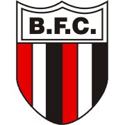 Botafogo Takım Logo