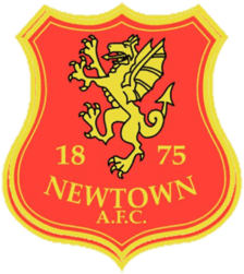 Newtown Takım Logo