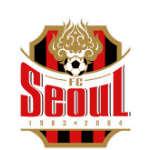 Seoul Takım Logo